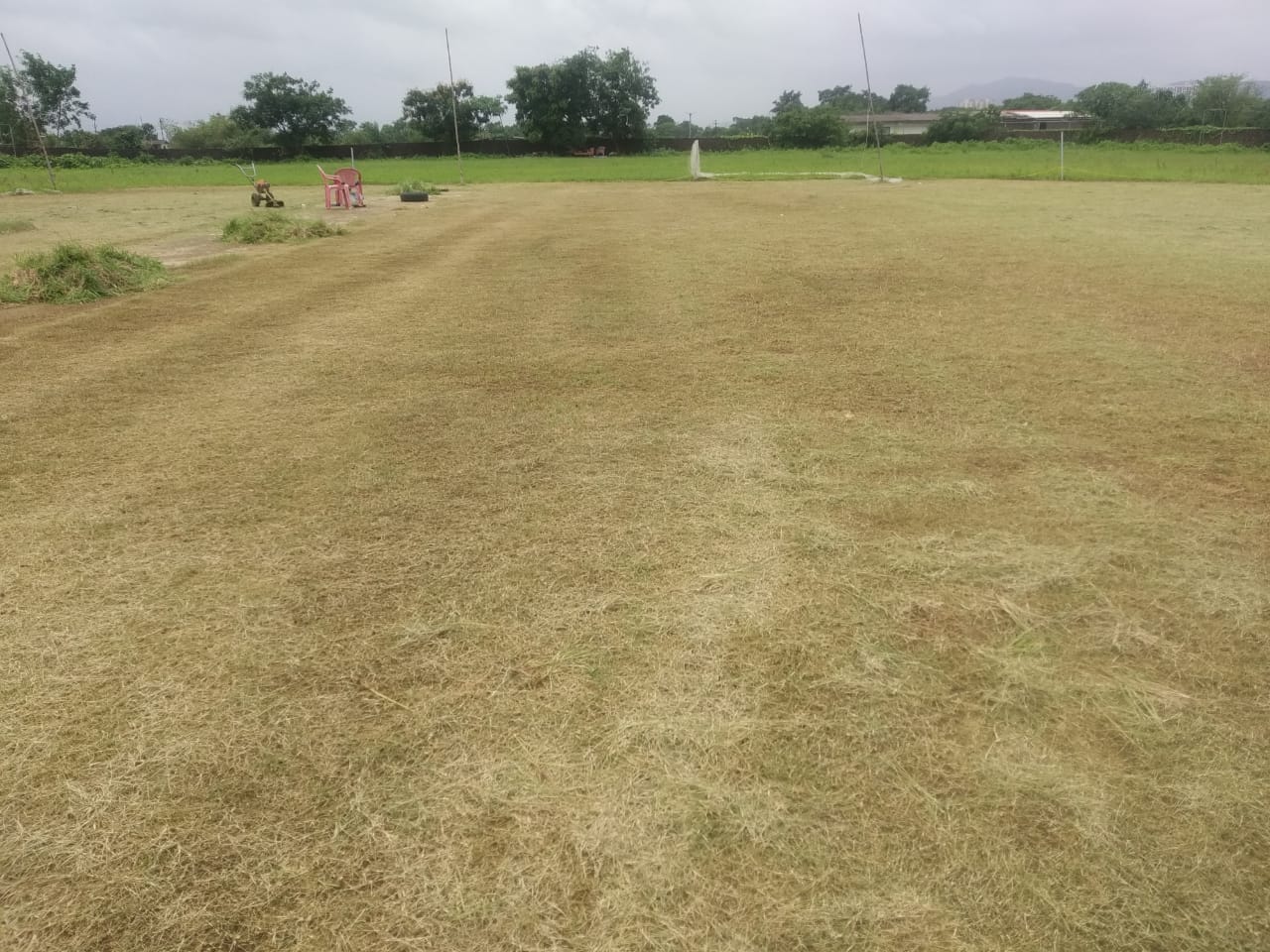 Cricket Institution Of Dombivli Cricketgraph