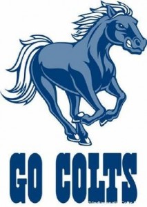 Delhi Colts Cricket Club