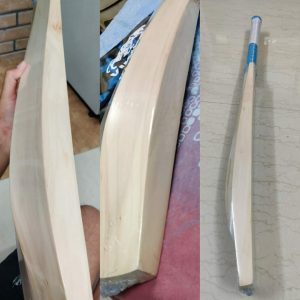 Brand New English Willow on sale